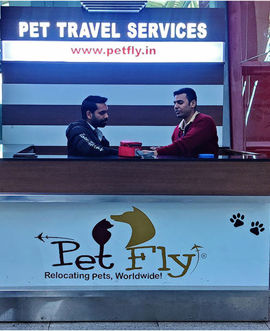 Pet n Fly