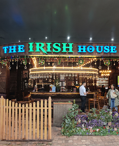 The Irish House