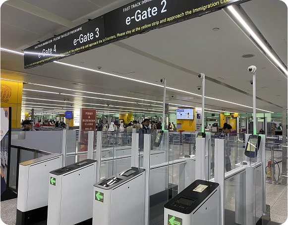 immigration-ttp-custom