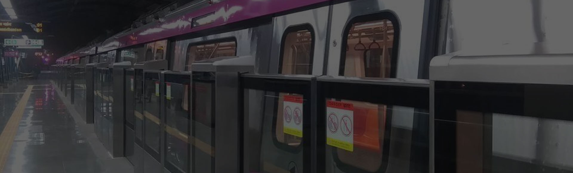 Magenta Line